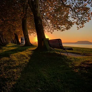 Platánfasor – Balatonboglár