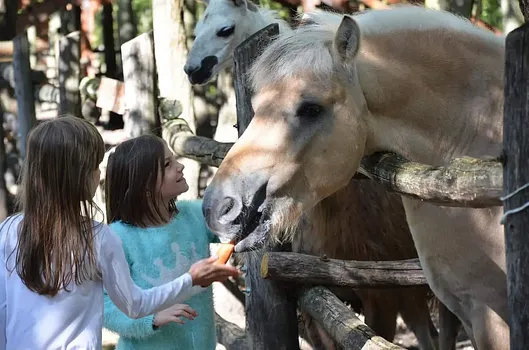 Bagolyvár Vadaspark