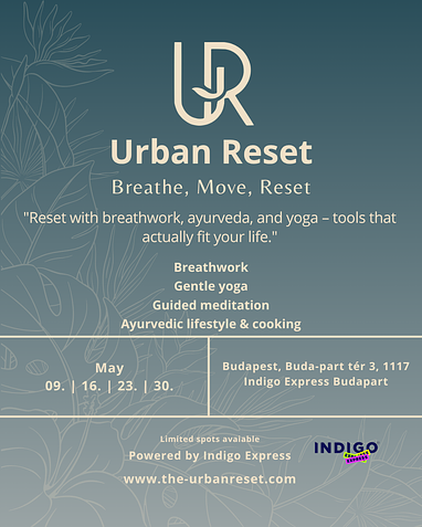 The Urban Reset 
