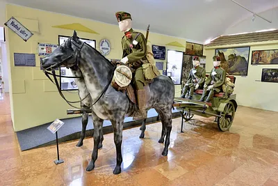 Hadtörténeti Intézet és Múzeum