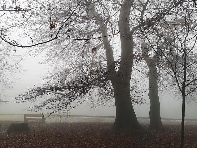 Óév búcsúztató túra - GreenWalks Budapest 2025.12.28
