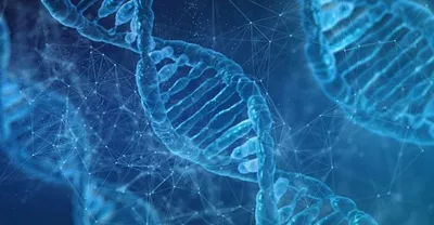 GMO-Genetikailag Módosított Oszkár