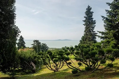 Folly Arborétum és Borászat – Badacsonyörs