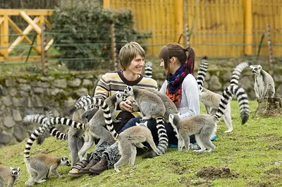 Sóstó Zoo - Nyíregyházi Állatpark