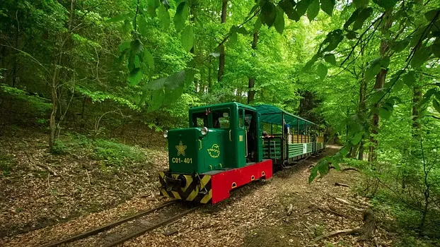 Pálházi Állami Erdei Vasút