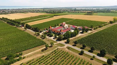 Garamvári Szőlőbirtok – Balatonlelle
