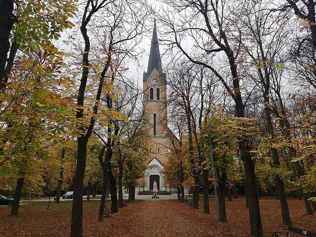 Remete-les, GreenWalks kirándulás 2026.01.11.