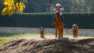 Gemenc játszópark és sportpálya