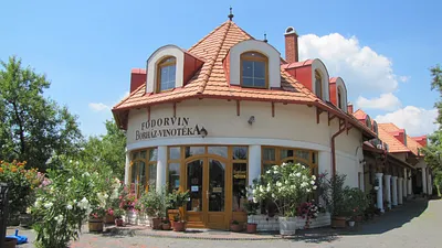 Fodorvin Családi Pincészet – Aszófő