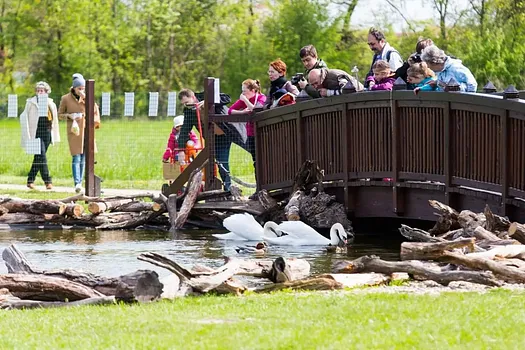 Körösvölgyi Állatpark