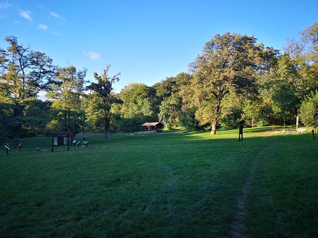 A Kamaraerdőtől Dezső Bácsiig - GreenWalks kirándulás 2026.05.03.
