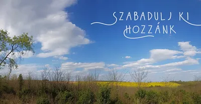 Erdei Kincskereső- Kalandtúra 8 fő részére