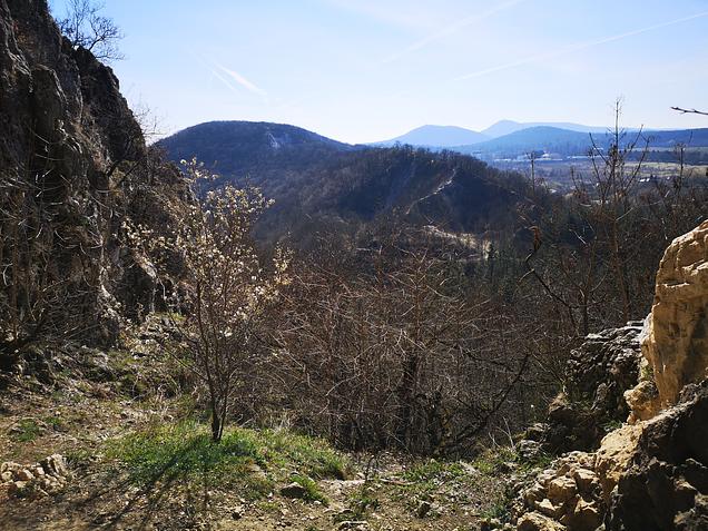 Sitty-sutty GreenWalks kirándulás 2026.03.08.