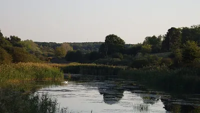 Töreki Tanösvény – Siófok