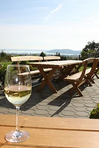 Koczor Pincészet és Vendégfogadó – Balatonfüred