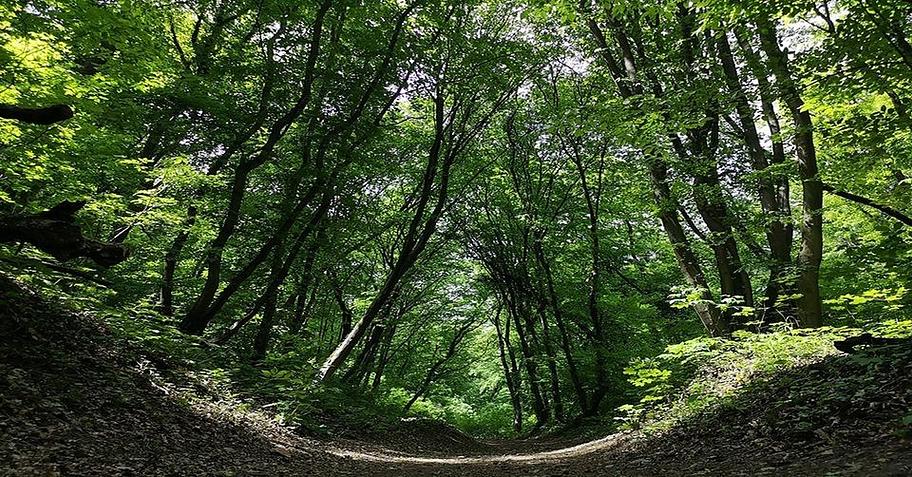 A Szerelem Bolondjai - GreenWalks kirándulás 2026.04.19.