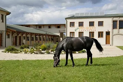 Pro Equus Lovaspark Bagod