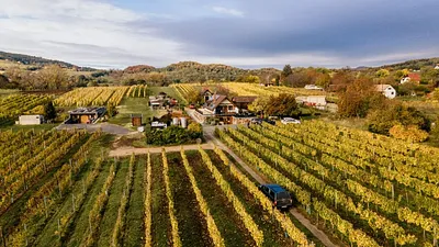 Borbély Családi Pincészet – Badacsonytomaj