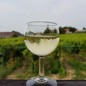 Kéknyelű Borozó – Badacsony