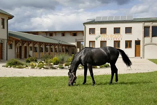 Pro Equus Lovaspark Bagod