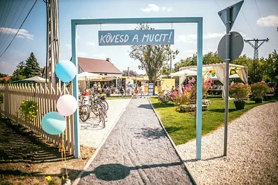 Kövesd a Mucit! – Aszófő