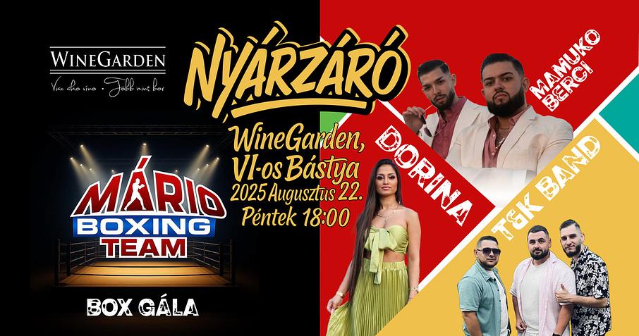BOX GÁLA – Nyárzáró party/Letná rozlúčková párty