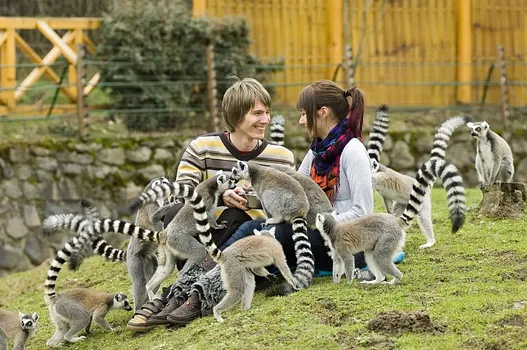 Sóstó Zoo - Nyíregyházi Állatpark