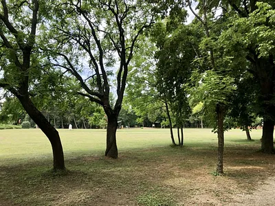 Rákóczi park – Balatonakarattya