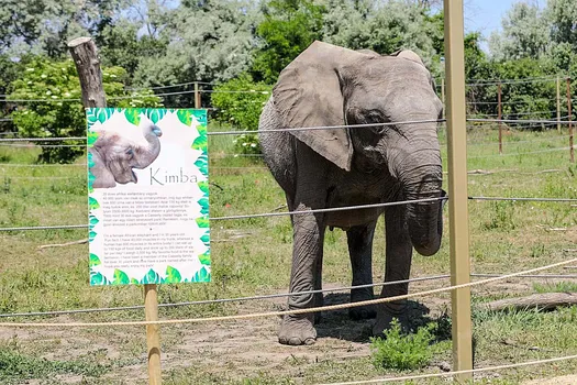 Kimba Elefant Park