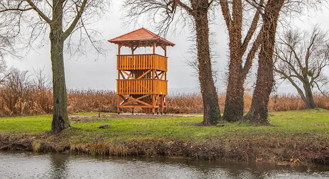 Madárles kilátó – Balatonberény