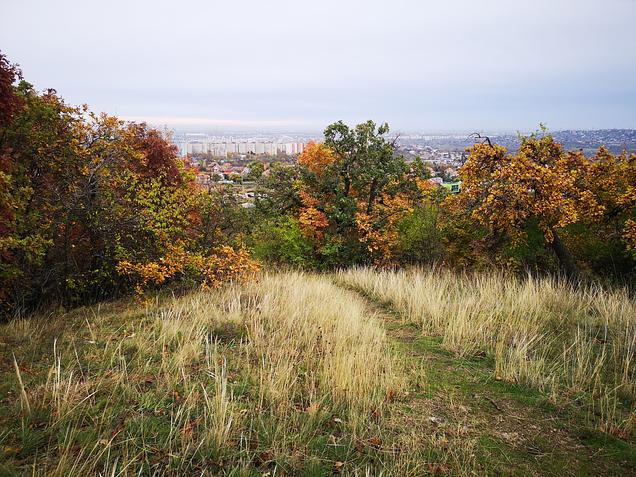 Árkon-bokron túl GreenWalks kirándulás 2026.01.25