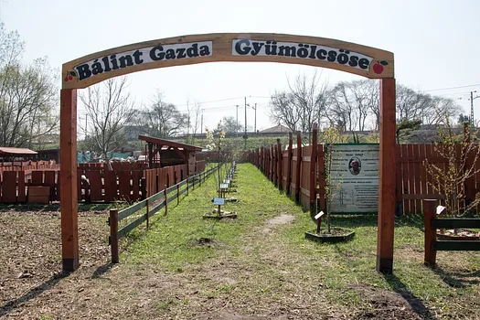 Kertvárosi Tanyaudvar