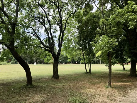 Rákóczi park – Balatonakarattya