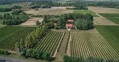 Hetényi Család Pincészete és Szőlőiskolája – Hobbi Borász Tanfolyam