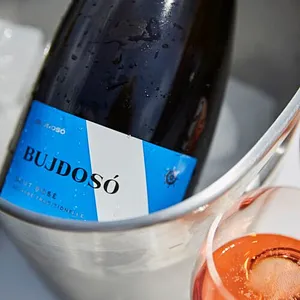 Bujdosó Szőlőbirtok és Pincészet – Balatonlelle