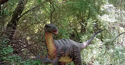 Dinó Park Kereki