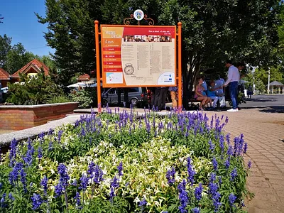 „Vers Utca” – Balatonszárszó