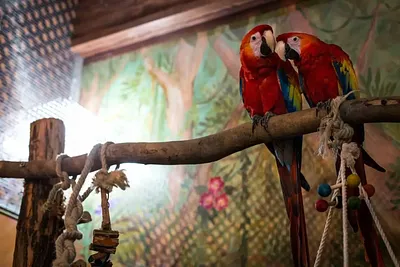 Zoo Café Budapest